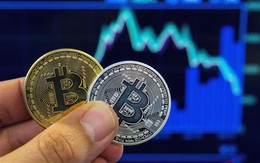 Giá Bitcoin hôm nay 20/11: Biến động có thể còn kéo dài