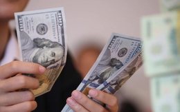 Tỷ giá USD hôm nay 21/11: Tỷ giá trung tâm tăng 6 đồng