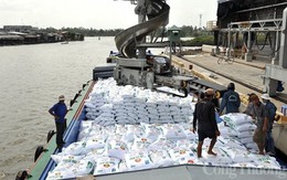 Xuất khẩu phân bón 10 tháng tăng cả về lượng và trị giá