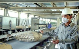 Tiêu thụ xi măng nội địa lẫn xuất khẩu đều trên đà phục hồi