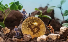 Giá Bitcoin hôm nay 29/11: Nhiều tín hiệu tích cực