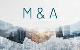 M&A sôi động với loạt thương vụ nổi bật quý III/2025