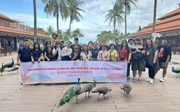 Đoàn famtrip Đài Loan tham quan, khảo sát du lịch Đà Nẵng