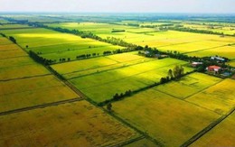 Các trường hợp được miễn thuế sử dụng đất nông nghiệp đến năm 2030