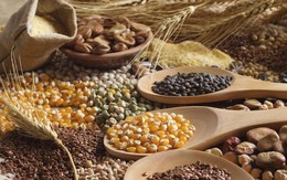 Giá lương thực thế giới giảm tháng thứ hai liên tiếp