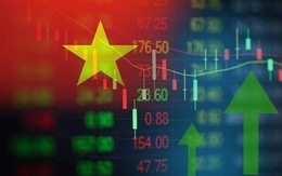 Lượng tài khoản chứng khoán mở mới cao nhất 14 tháng