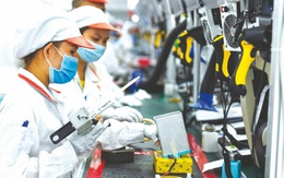 Việt Nam là quốc gia Đông Nam Á có số lượng việc làm gắn với chuỗi cung ứng lớn nhất
