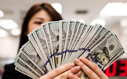 Tỷ giá USD hôm nay 12/12: Tỷ giá trung tâm giảm 6 đồng