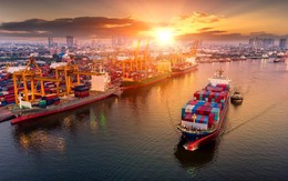 Xuất khẩu hàng Việt Nam sang Mỹ vẫn mạnh mẽ giữa bão thuế quan