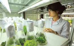 Đà Nẵng: Đầu tư hơn 56 tỷ đồng nâng cấp Trung tâm Công nghệ sinh học