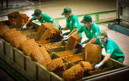 Tập đoàn Công nghiệp Cao su Việt Nam tuyển dụng nhiều vị trí