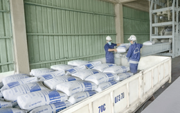 Xuất khẩu xi măng, clinker 11 tháng vượt kỷ lục năm 2024