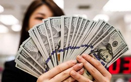 Tỷ giá USD hôm nay 19/12: Tỷ giá trung tâm giảm 3 đồng