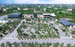 HTX Cây cảnh Bách Thuận: "Ươm xanh" diện mạo nông thôn