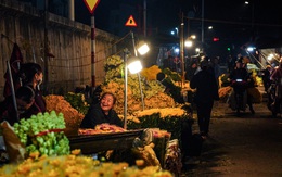 “Những bông hoa” sớm nở giữa mùa Đông Hà Nội