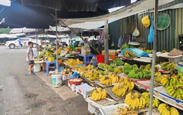 Hà Nội: Triển khai các giải pháp xử lý “chợ cóc", điểm kinh doanh tự phát