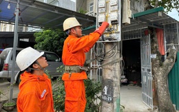 Công ty Điện lực Tuyên Quang giữ dòng điện thông suốt cho cao điểm sản xuất và Tết Bính Ngọ 2026