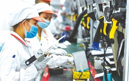 OECD nâng dự báo tăng trưởng GDP của Việt Nam lên 6,2% năm 2026