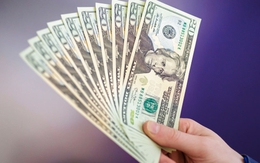 Tỷ giá USD hôm nay 5/12: Tỷ giá trung tâm giảm 1 đồng