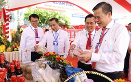 Cần Thơ quyết tâm đưa sở hữu trí tuệ thành đòn bẩy phát triển đến năm 2030