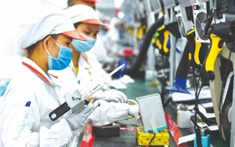 Cả nước có 15,1 nghìn doanh nghiệp thành lập mới trong tháng 11