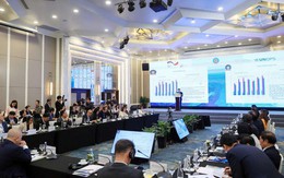 Việt Nam là một trong số ít nền kinh tế duy trì được tốc độ tăng trưởng GDP cao