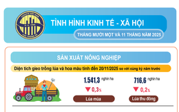 Kinh tế 11 tháng 2025: Tăng tốc bứt phá để đạt mục tiêu tăng trưởng GDP trên 8%