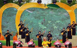 Thái Nguyên: Tưng bừng Ngày hội cam, quýt và phiên chợ nông sản xã Bạch Thông năm 2025