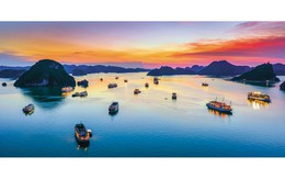 Quảng Ninh: Khách mua vé tham quan Vịnh Hạ Long cần cung cấp đủ thông tin nhận diện