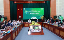 Giai đoạn 2017-2024, dư nợ tín dụng xanh tăng bình quân trên 22%/năm