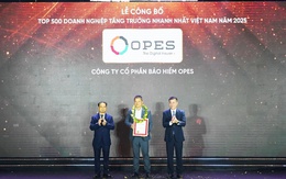 OPES dẫn đầu ngành bảo hiểm phi nhân thọ trong bảng xếp hạng FAST500