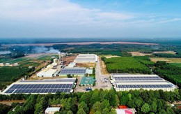 Chỉ 5,5% doanh nghiệp chuyển đổi xanh trong một số hoạt động