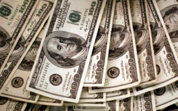 Tỷ giá USD ngày 28/4: Tỷ giá trung tâm tăng 12 đồng