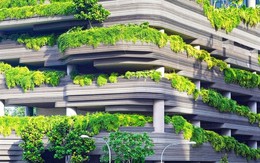 Bất động sản xanh giữ giá tốt hơn trên thị trường
