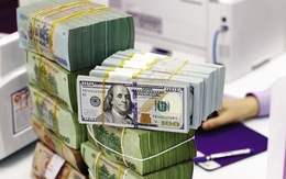 Tỷ giá USD hôm nay 12/5: Tỷ giá trung tâm giảm 6 đồng