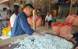 Cao Bằng: Tuyên truyền, tư vấn phát triển hợp tác xã tại xã Thượng Hà