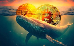 Giá Bitcoin hôm nay 14/5: 'Cá voi' đã mua 8,5 tỷ USD Bitcoin