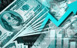 Tỷ giá USD hôm nay 14/5: Tỷ giá trung tâm ổn định