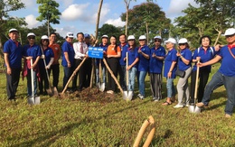 Kiều bào TP. HCM tham gia hưởng ứng "Tết trồng cây đời đời nhớ ơn Bác Hồ"