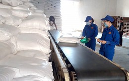 Xuất bán gần 90.000 tấn lương thực dự trữ quốc gia