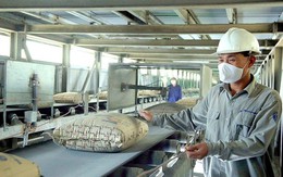 Giảm thuế xuất khẩu với mặt hàng clinker xi măng xuống 5% đến hết năm 2026