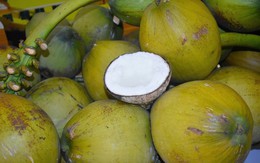Dừa Việt Nam đang trở thành mặt hàng xuất khẩu giá trị cao