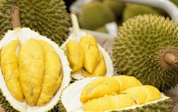 Thủ tướng Chính phủ chỉ đạo thúc đẩy sản xuất và xuất khẩu sầu riêng bền vững