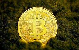 Giá Bitcoin hôm nay 27/5: Làn sóng đầu tư kỷ lục đang hình thành
