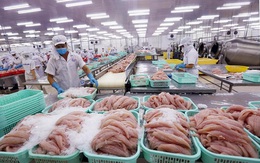 Xuất khẩu cá tra tăng 10% so với cùng kỳ