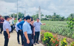 Hậu Giang: Ra mắt mô hình du lịch cộng đồng vùng khóm Cầu Đúc
