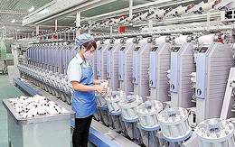 Chuyển đổi số trong ngành dệt may mang tính chiến lược