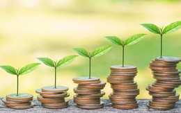Đầu tư xanh từ các quốc gia trong nhóm SEA-6 tăng trưởng 43%
