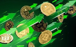 Giá Bitcoin hôm nay 10/5: Các quỹ ETF Bitcoin hút ròng 5,13 tỷ USD