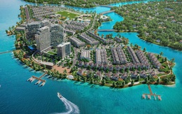 Thương hiệu Đảo Kim Quy: Định hình biểu tượng đô thị sinh thái mới phía Đông TP.HCM